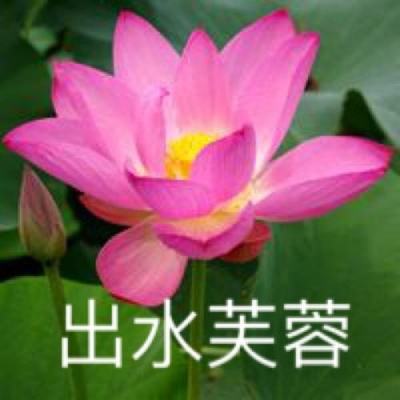 乾坤西游手机版(暂未上线)v1.2.0 安卓版
